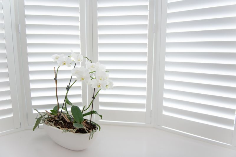 Shutters Installation in Boulder, CO